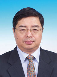 LI  Shulei