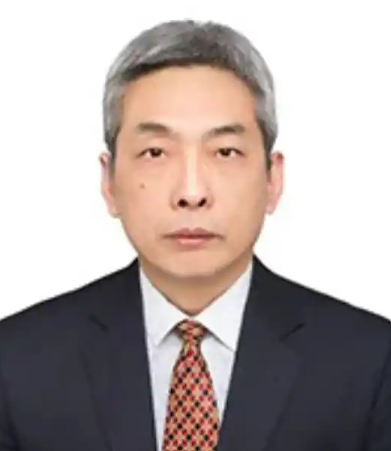 CAI Wei