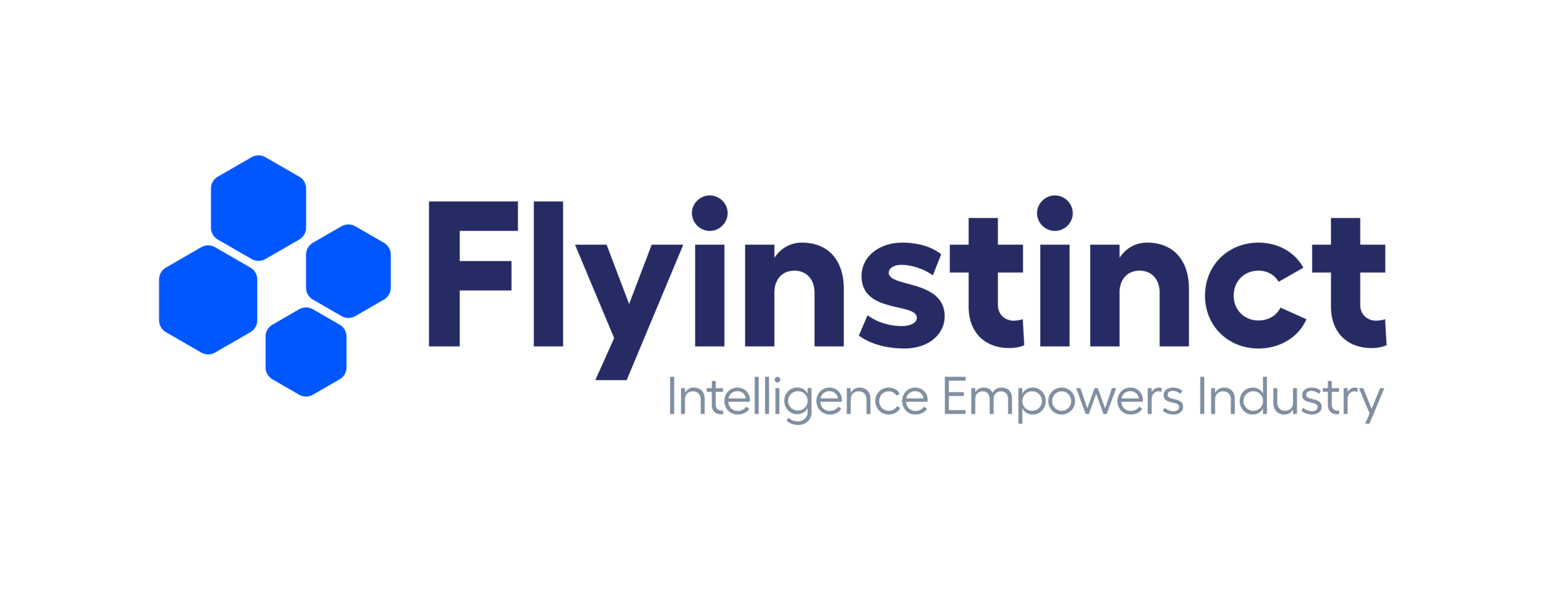 Flyinstinct
